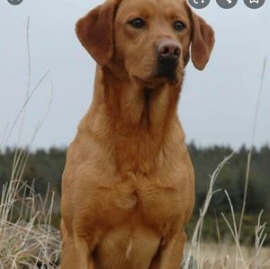 Meet your Posher, Miaya